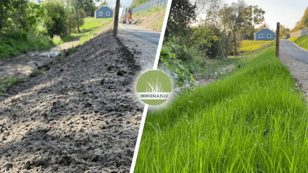 Ceļmalas rezultāts pēc hidrosēšanas