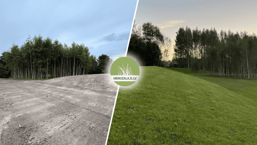 Valnis pēc hidrosēšanas